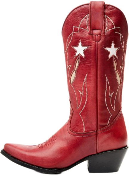 Embroidered Cowboy Boots for Women Snip Toe Chunky Heel Cowgirl Boots Slip On Mid Wide Calf Western Boots