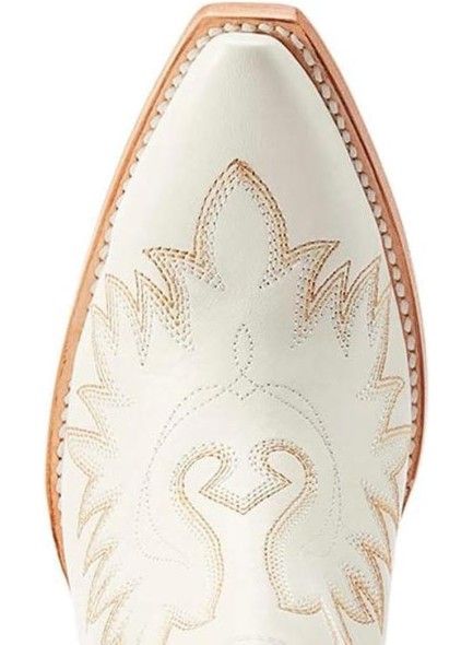 Western Embroidery Ankle Boots with Pointed toe,Chunky Heel Cowgirl Booties