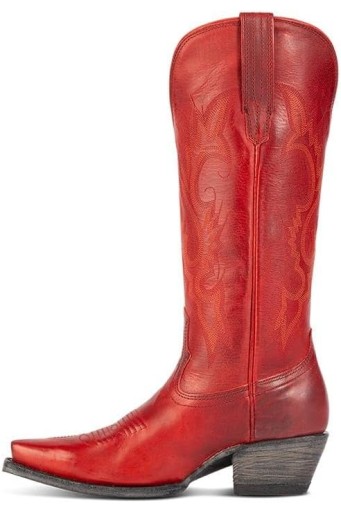 Embroidered Cowboy Boots for Women，Pointed Toe Women's Mid Calf Boot With Chunky Heel 