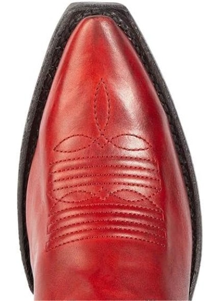 Embroidered Cowboy Boots for Women，Pointed Toe Women's Mid Calf Boot With Chunky Heel
